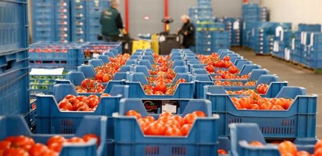 Импортозамещение овощей обойдется России в $4,4 млрд - Фото