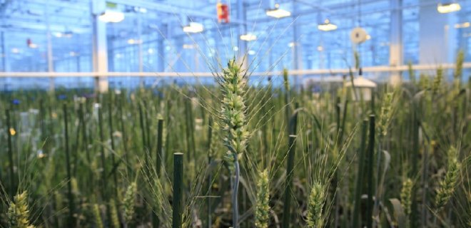 Bayer может продать часть активов производителю семян Monsanto - Фото