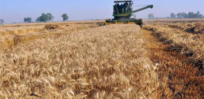 Украина установила новый рекорд по экспорту зерновых - Фото