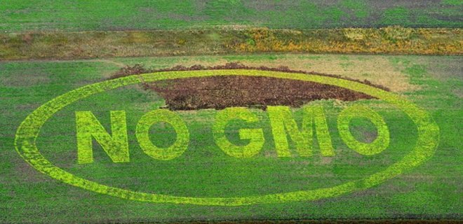 Нобелевские лауреаты выступили в поддержку ГМО - Фото