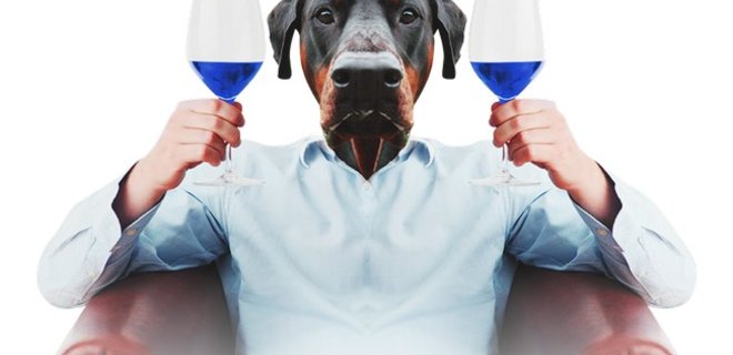 В Испании начали производить вино синего цвета - Фото