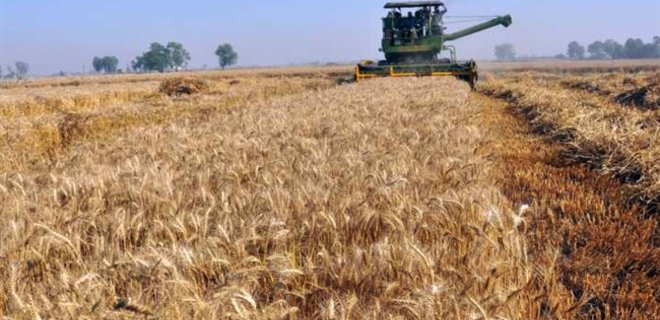 В Украине цены на зерно будут корректировать согласно урожая - Фото