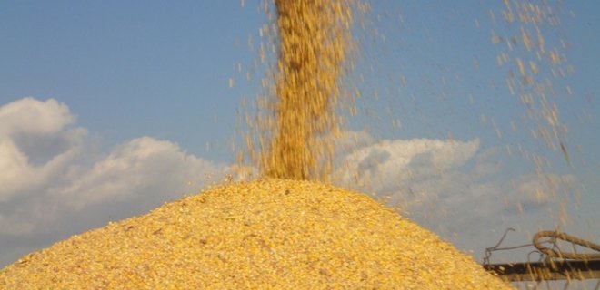 Кукурузный коллапс. Грозит ли Украине китайское эмбарго  - Фото