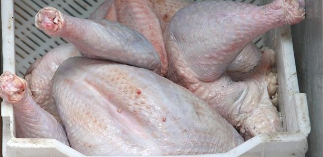 Украина запретила импорт птицы из Венгрии и Болгарии - Фото