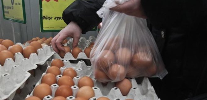 Украинский производитель яиц покупает польский комплекс - Фото