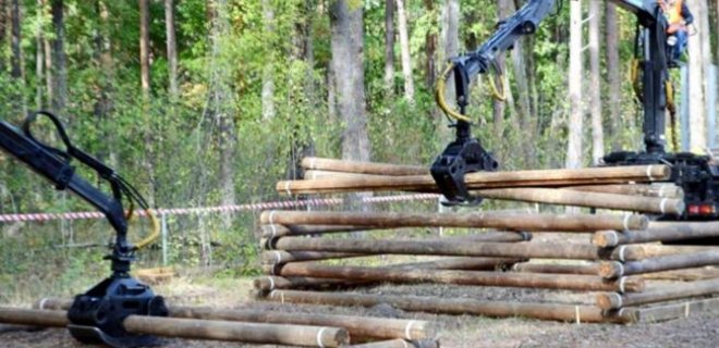 Министр АПП против госмонополии в управлении лесным хозяйством - Фото