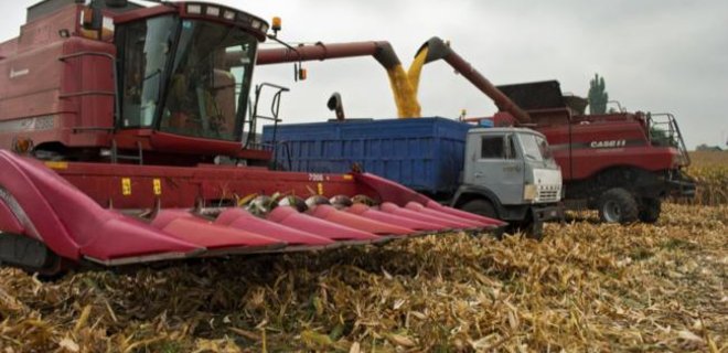 Урожай 2016 года стал рекордным в истории Украины - Фото