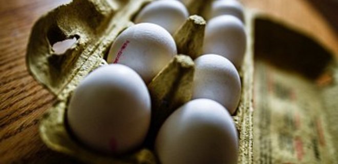 Токсичные яйца. Как Украине использовать яичный скандал в ЕС - Фото