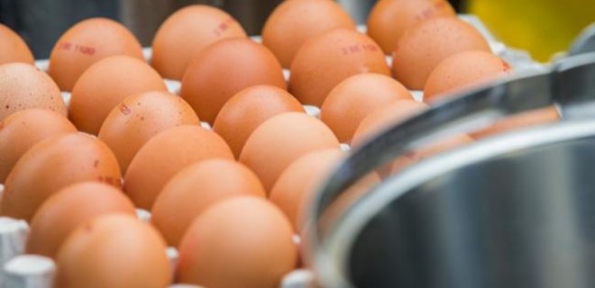 Украина поставила рекорд по экспорту яиц - Фото