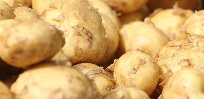 Экспорт картофеля из Украины вырос в 3,5 раза - Фото