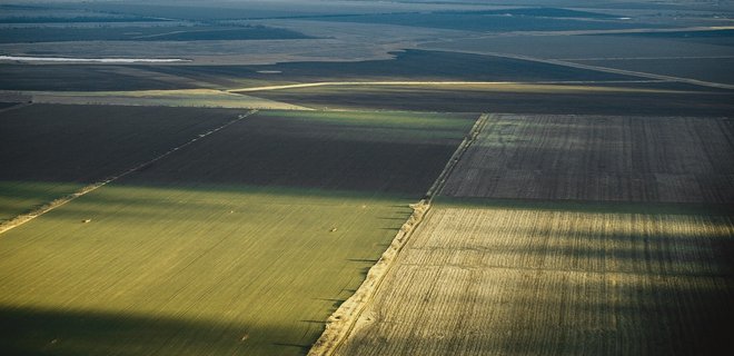 Крым из-за засухи может остаться без урожая - Фото