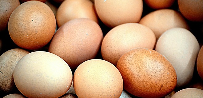  Украинский производитель яиц хочет выйти на латвийский рынок - Фото