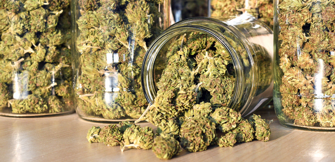 Три штата США поддержали легализацию марихуаны - Фото