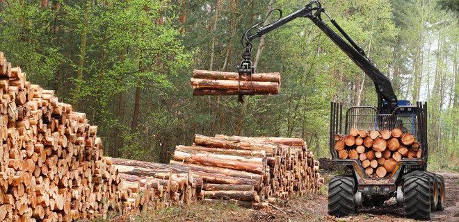 Украина перешла на европейские стандарты качества древесины - Фото