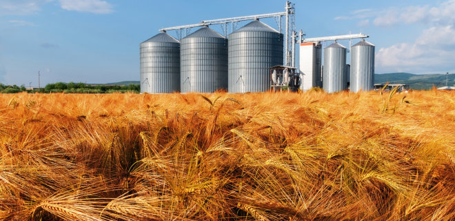 Урожай зерновых в Украине будет выше прошлогоднего - Фото