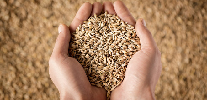 В Аграрном фонде исчезло зерно на 18 млн грн - Госаудитслужба - Фото