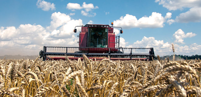 Экспорт зерновых из Украины существенно упал - Фото