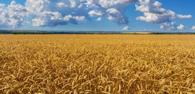 Украина сократила экспорт зерна почти на 1 млн тонн - Фото