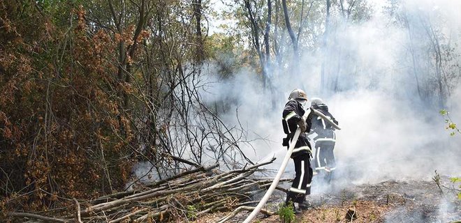 Рада приняла закон о повышении штрафов за пожары в лесах - Фото