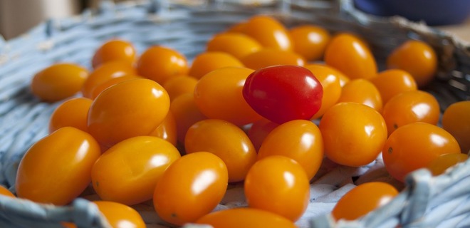 В Украине открыли новую фабрику по производству томатной пасты - Фото