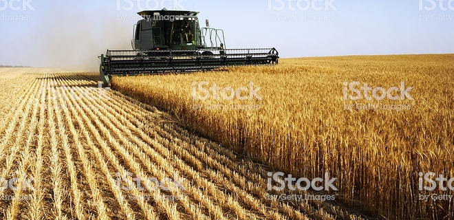 Украина экспортировала более 10 млн тонн зерновых - Фото