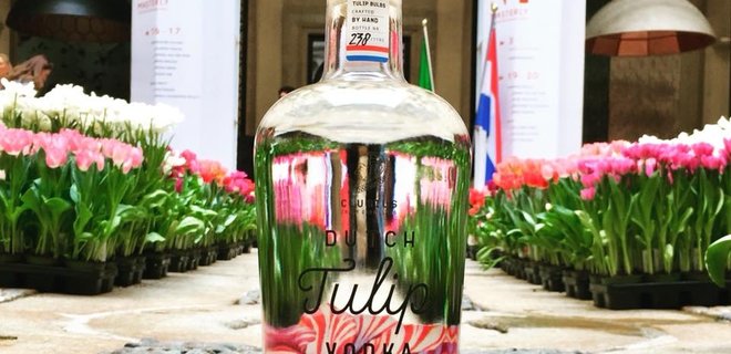В Голландии научились делать водку из тюльпанов - Фото