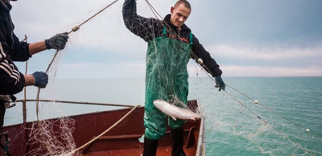 Украина договорилась с Россией о вылове рыбы в Азовском море - Фото