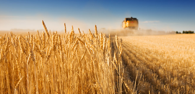 Урожай зерновых достиг 75 млн т. Две трети пойдут на экспорт - Фото