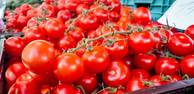 Еврокомиссия разрешила экспорт овощей и фруктов из Украины в ЕС - Фото