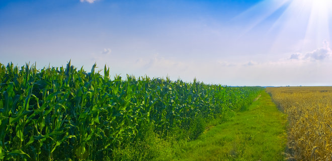 Фермерам помогут купить землю. Что рассказал замминистра Высоцкий - Фото