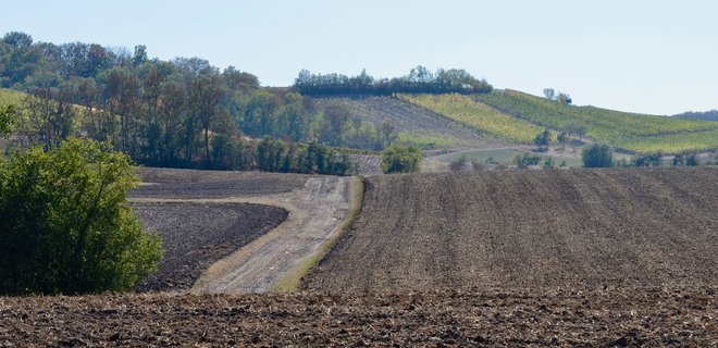 Сколько земли обрабатывают холдинги, фермеры и ОСГ - исследование - Фото