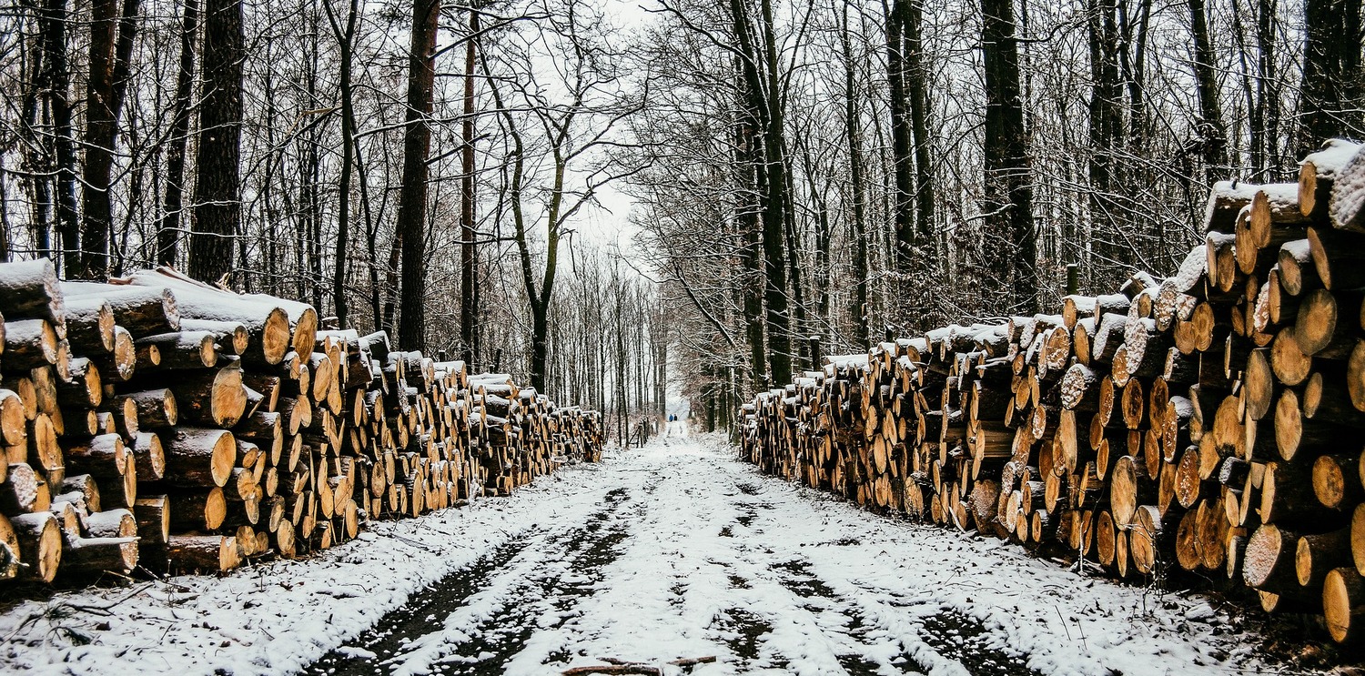 Рублю лес