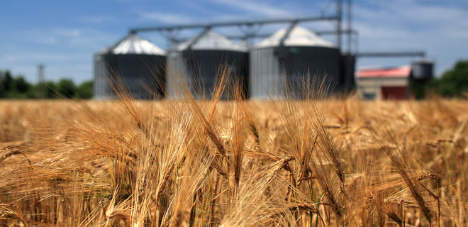 ЕИБ профинансирует зерновой бизнес в Украине - Фото