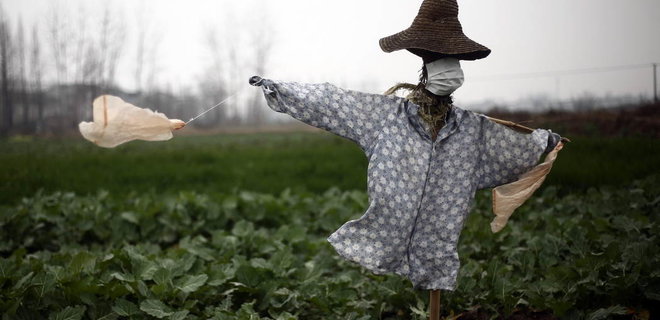 Экспорт в Китай. Как украинские аграрии реагируют на коронавирус - Фото