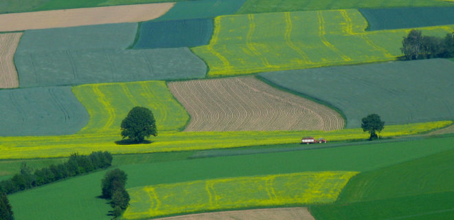 Изменение климата. Зоной рискованного земледелия могут стать 2/3 территории Украины - Фото