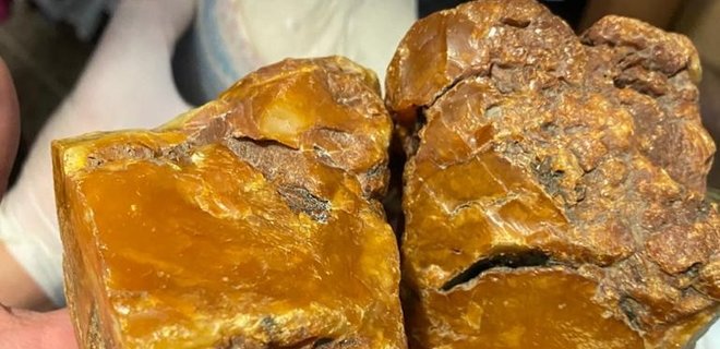 СБУ нашла 1,5 тонны янтаря при задержании контрабандистов: фото, видео - Фото