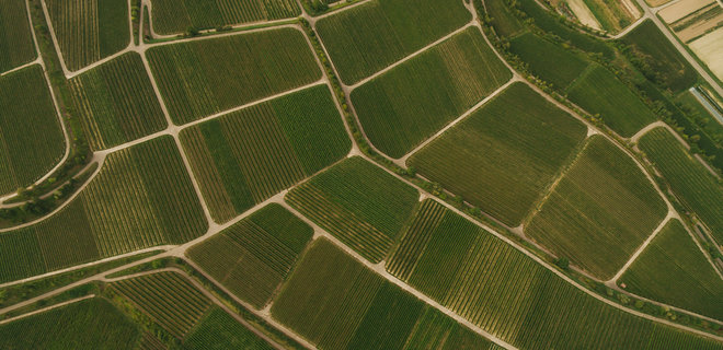 Около 1000 человек владеют более, чем 100 гектарами сельхозземель – Госгеокадастр - Фото