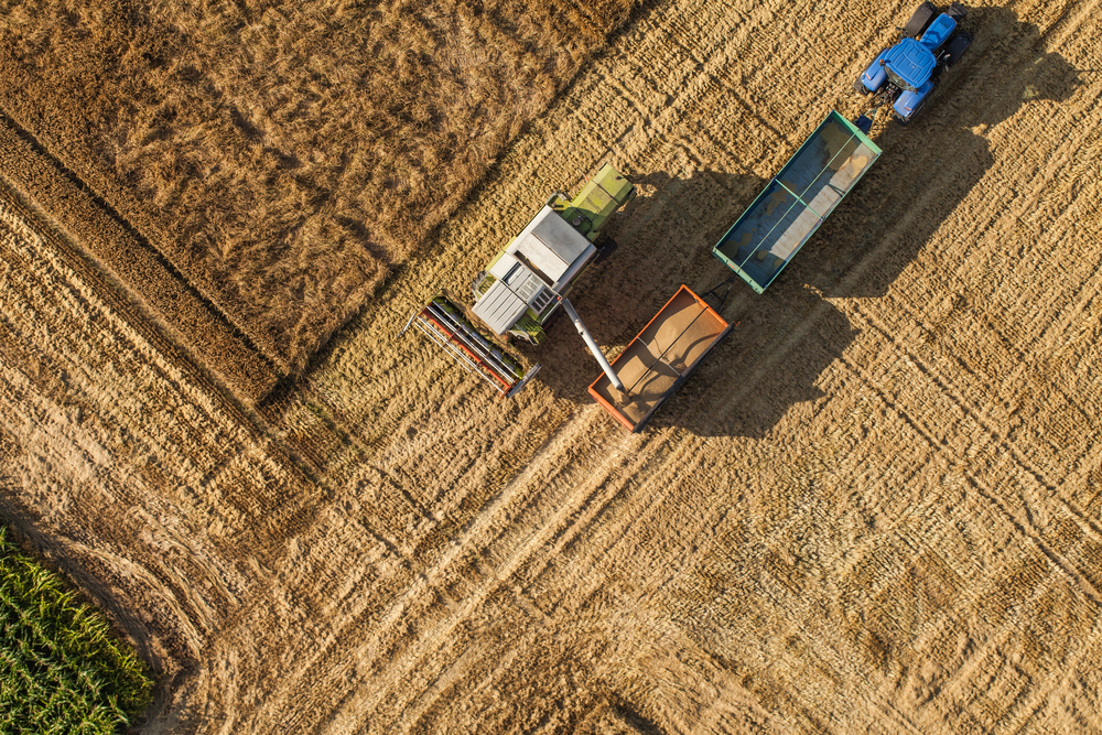 Цены на землю, рекордный урожай и дорогие продукты. 5 картинок об украинском АПК в 2021-м - Фото