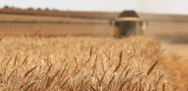 Украина из-за войны увеличит посевы яровой пшеницы до многолетнего рекорда - Фото