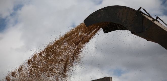 Росія хотіла продати Сирії крадене українське зерно як товар із ДНР, якої не існує - Фото