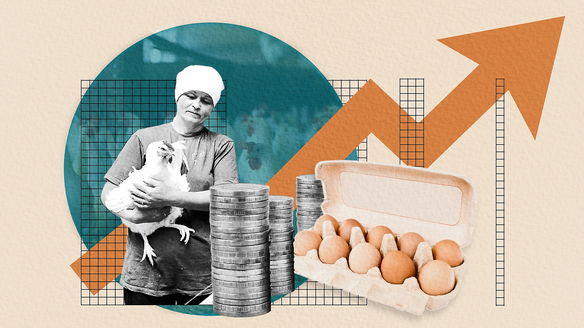 Золотые яйца. Почему цены выросли вдвое и когда упадут - Фото