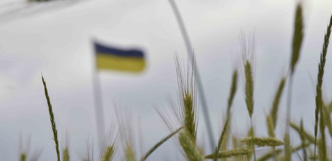 European Commission bans export of grain from Ukraine to five countries for one month - Photo