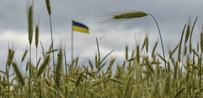 Eastern EU members call for Ukrainian grain ban to be extended - Photo
