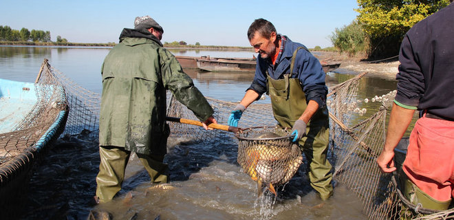 Украина начала полную реорганизацию рыбного хозяйства - Фото