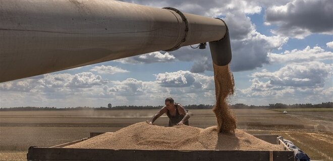 Атака Кремля беспилотниками спровоцировала скачок цен на пшеницу – Bloomberg - Фото