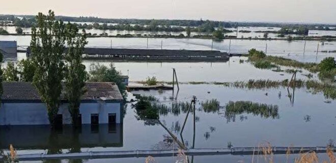 Ukraine's only state sturgeon farm submerged by floodwaters - Photo