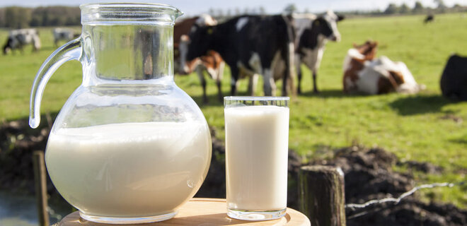 Канада открыла свой рынок для украинской молочной продукции - Фото