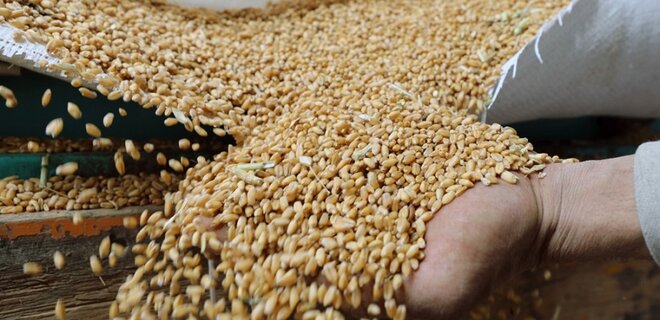 Індія хоче купити у Росії багато зерна. Але зі знижкою – Reuters - Фото
