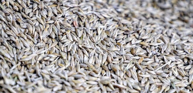 Єгипет купив у РФ майже півмільйона тонн пшениці - Фото