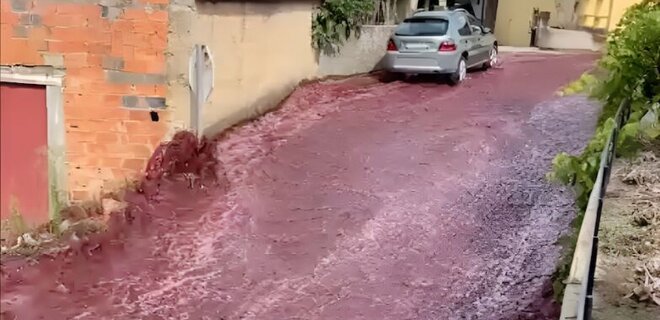 У Португалії сталася аварія на винокурні, вулиці затопило вином – відео - Фото